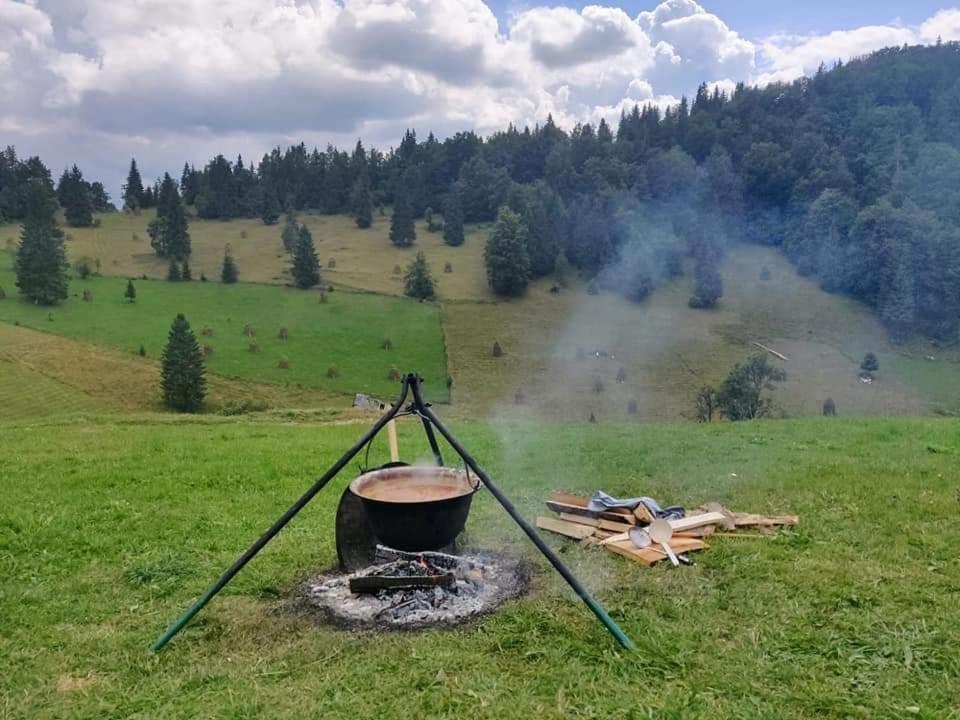 Pensiunea Poarta Lui Ionele Gîrda de Sus Exteriér fotografie