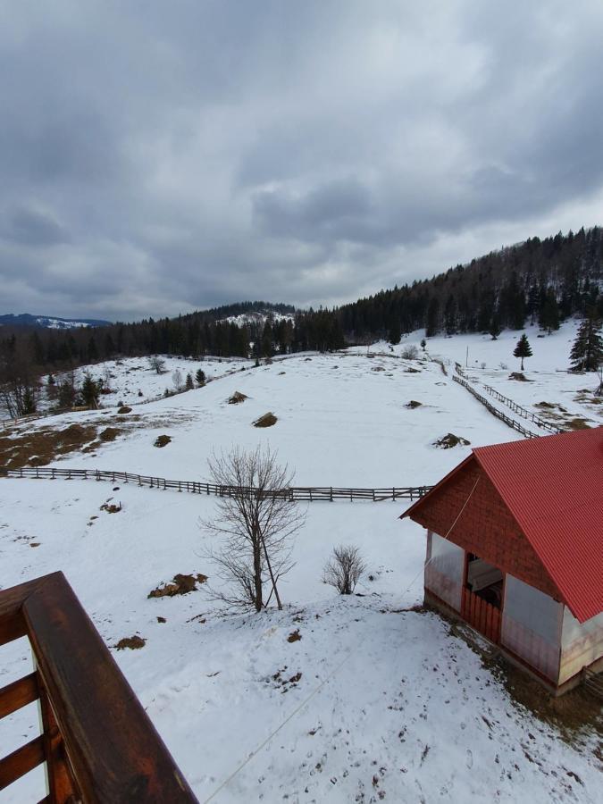 Pensiunea Poarta Lui Ionele Gîrda de Sus Exteriér fotografie