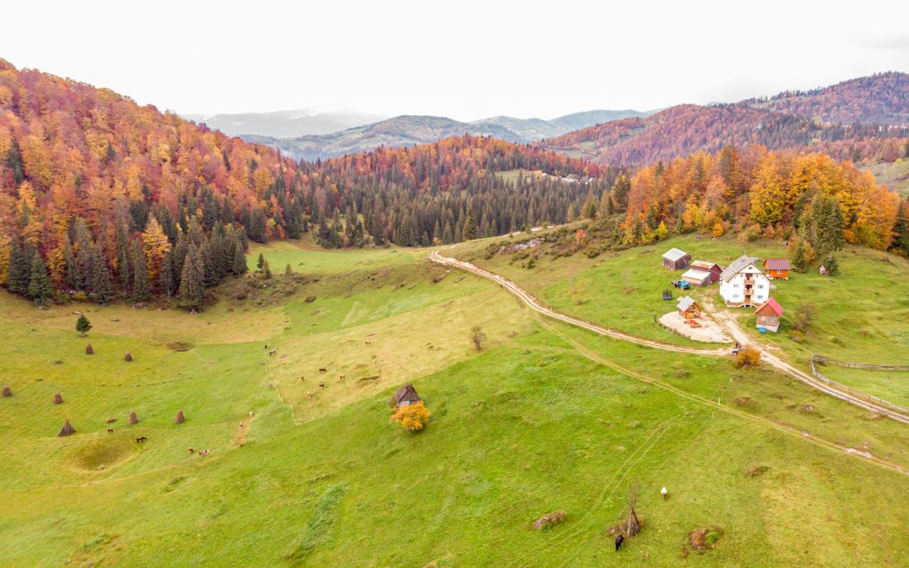 Pensiunea Poarta Lui Ionele Gîrda de Sus Exteriér fotografie