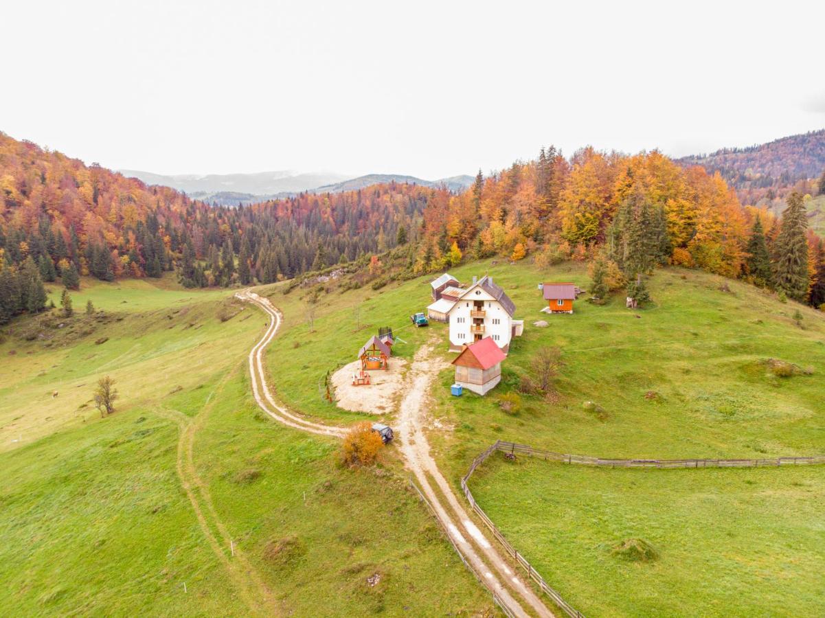 Pensiunea Poarta Lui Ionele Gîrda de Sus Exteriér fotografie