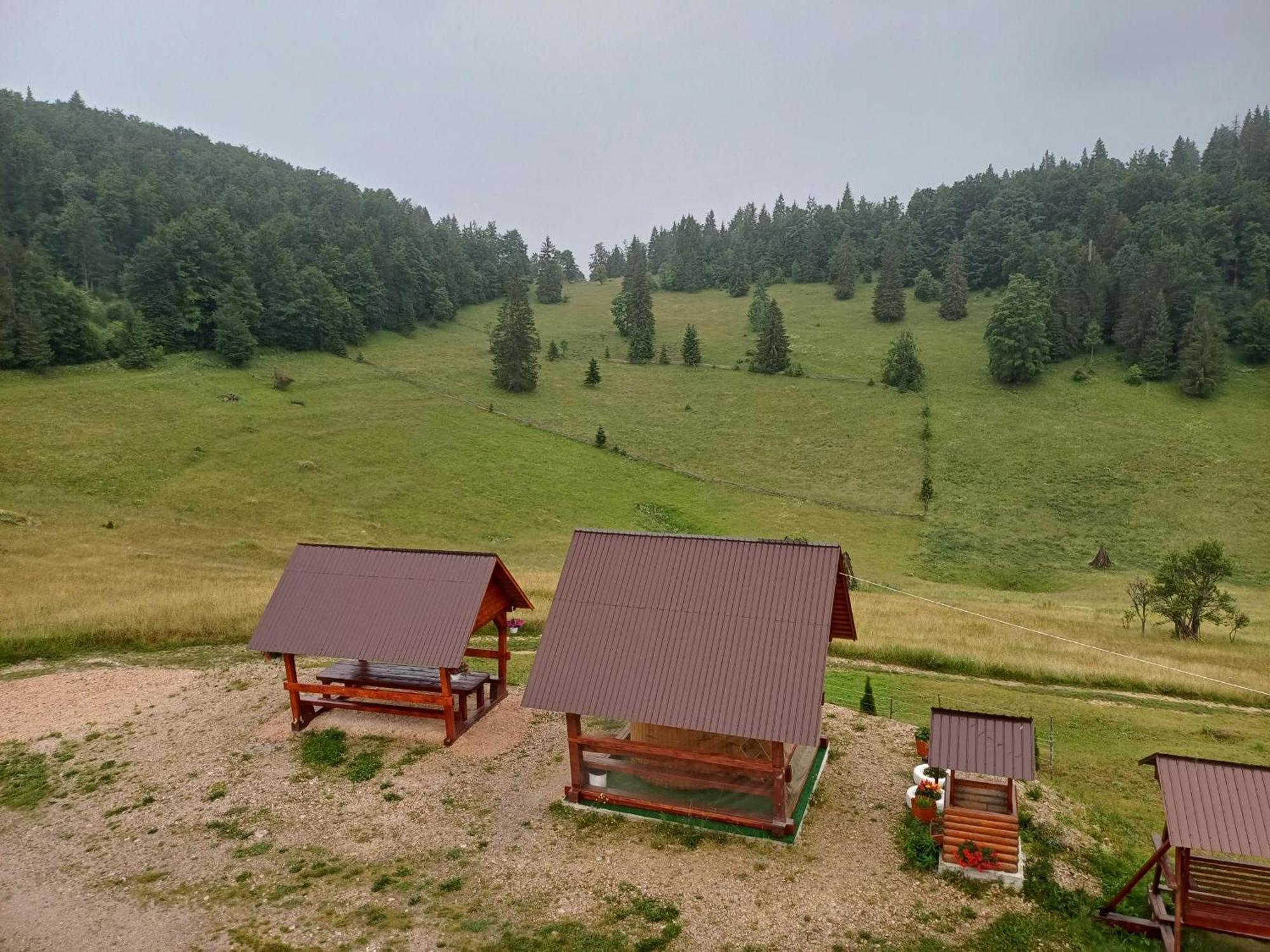 Pensiunea Poarta Lui Ionele Gîrda de Sus Exteriér fotografie