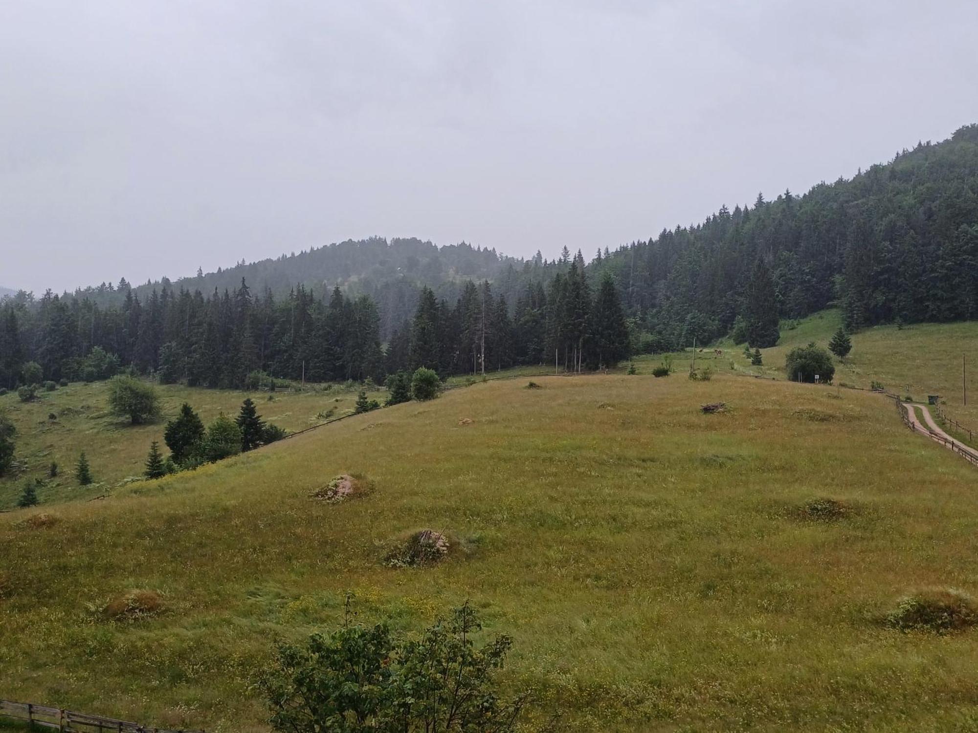 Pensiunea Poarta Lui Ionele Gîrda de Sus Exteriér fotografie