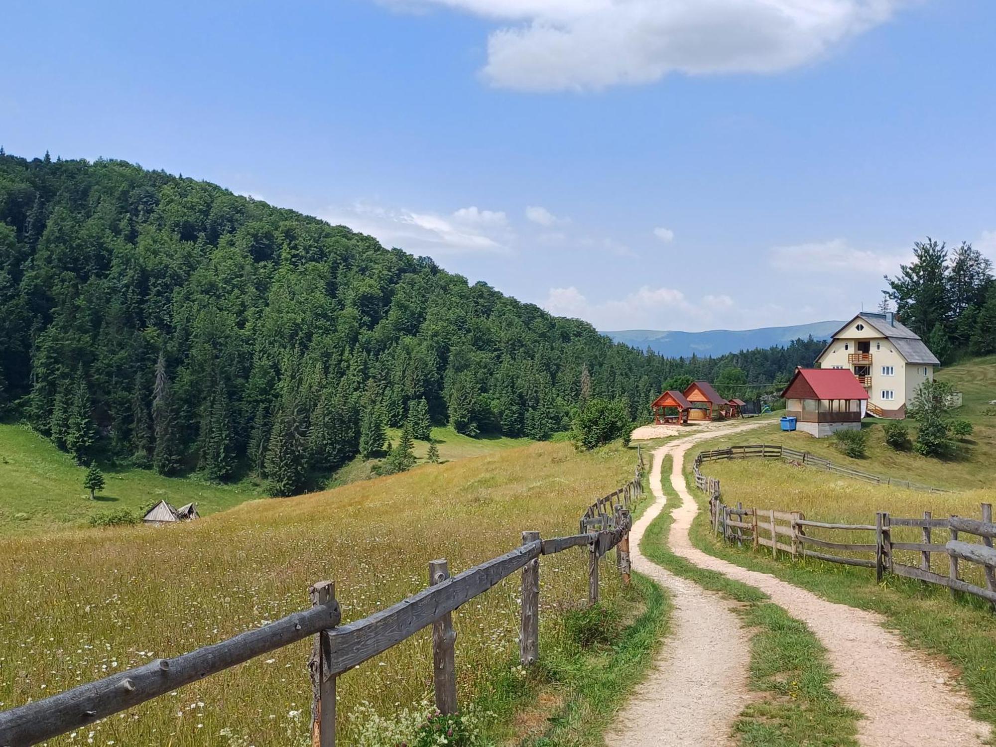 Pensiunea Poarta Lui Ionele Gîrda de Sus Exteriér fotografie