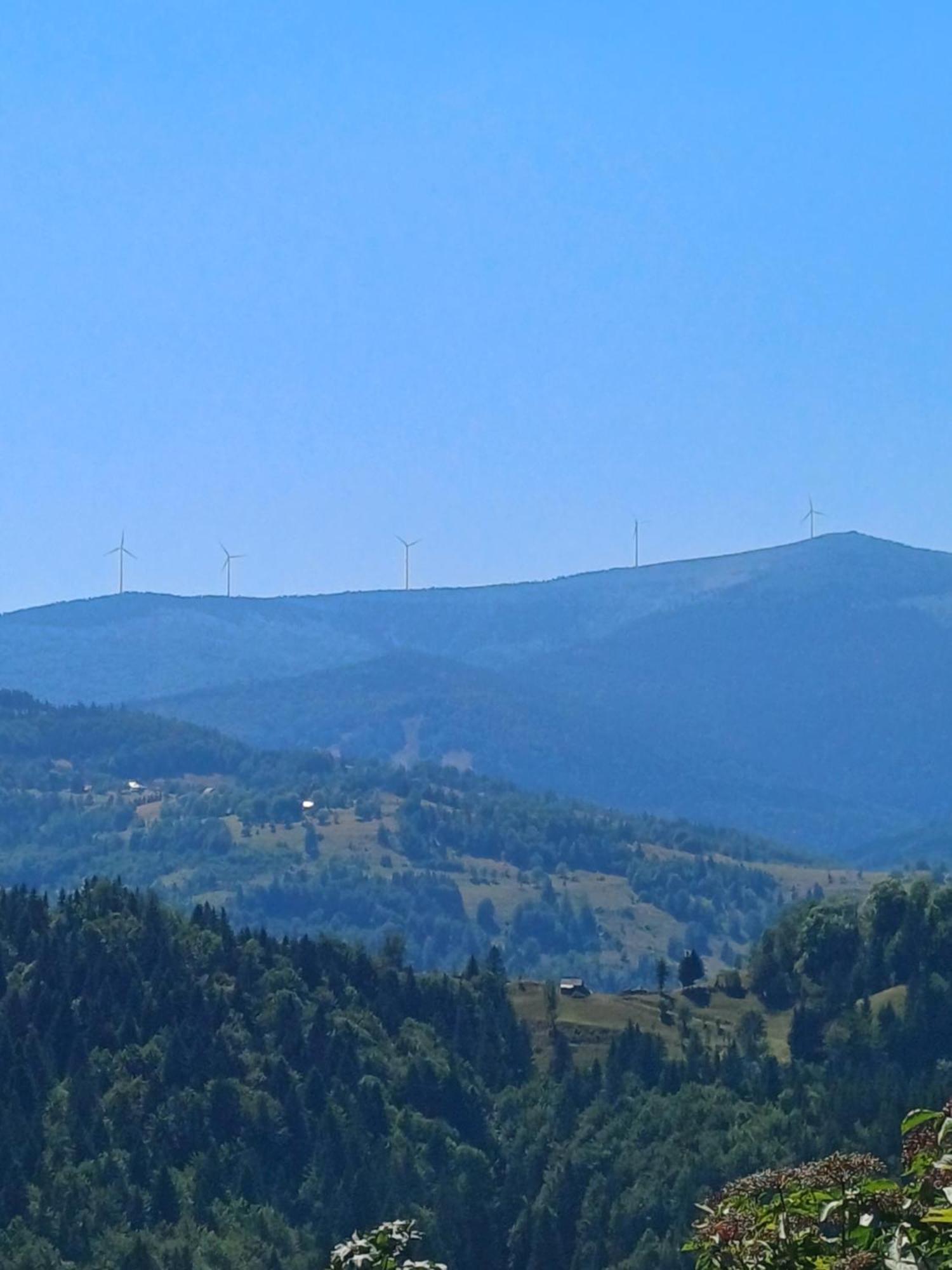 Pensiunea Poarta Lui Ionele Gîrda de Sus Exteriér fotografie