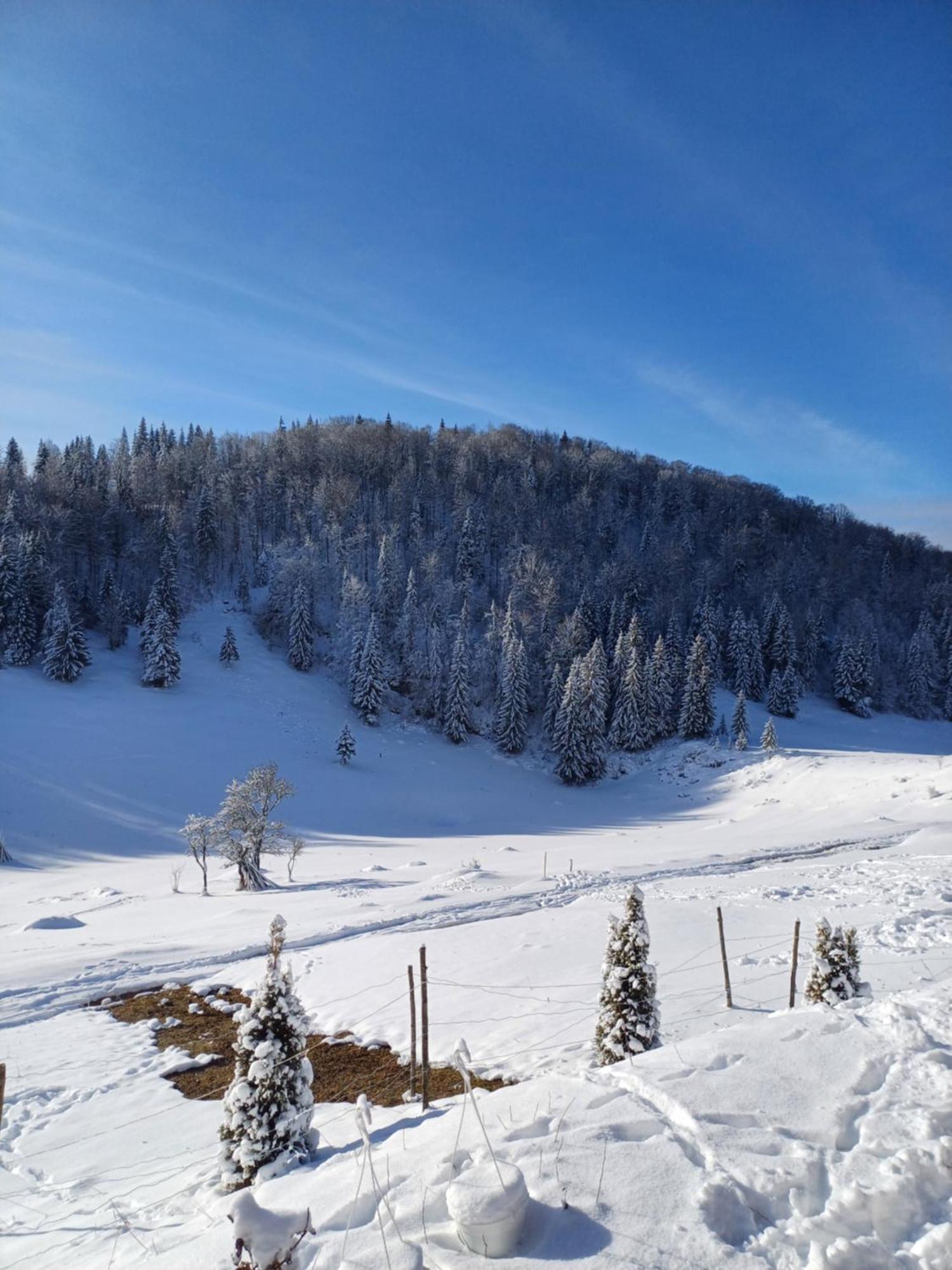 Pensiunea Poarta Lui Ionele Gîrda de Sus Exteriér fotografie